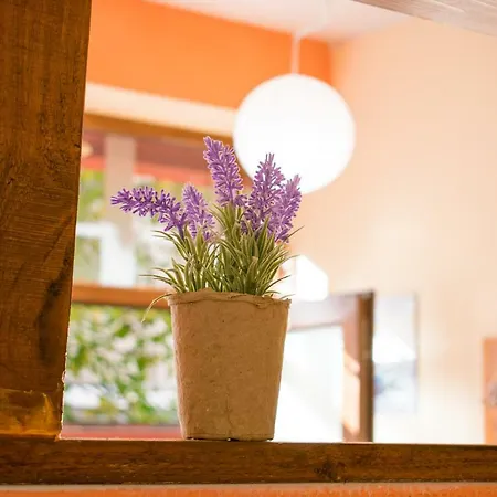 4 Seasons Apartments, A1 플로브디프