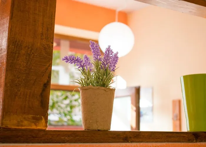 4 Seasons Apartments, A1 Plovdiv